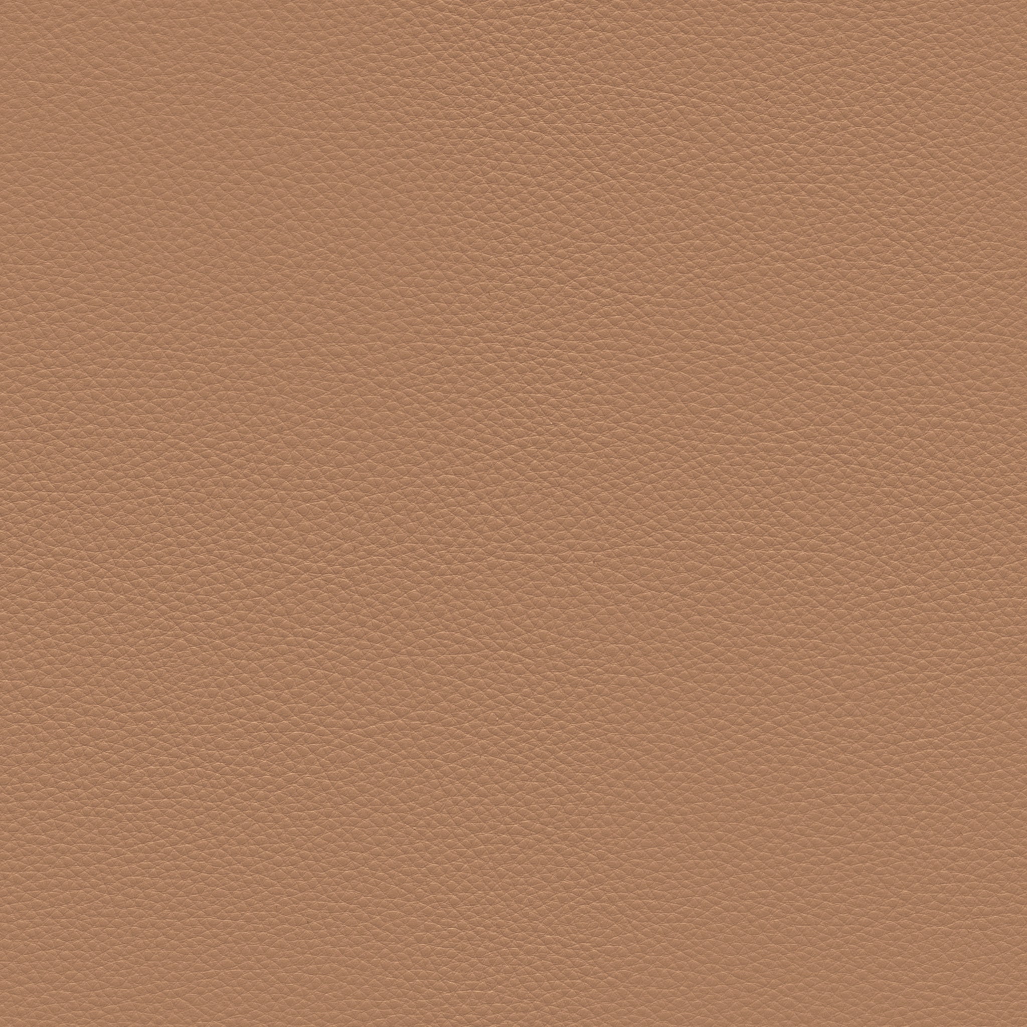Sample Passion Camel Sample Passion Camel Bruunmunch Furniture