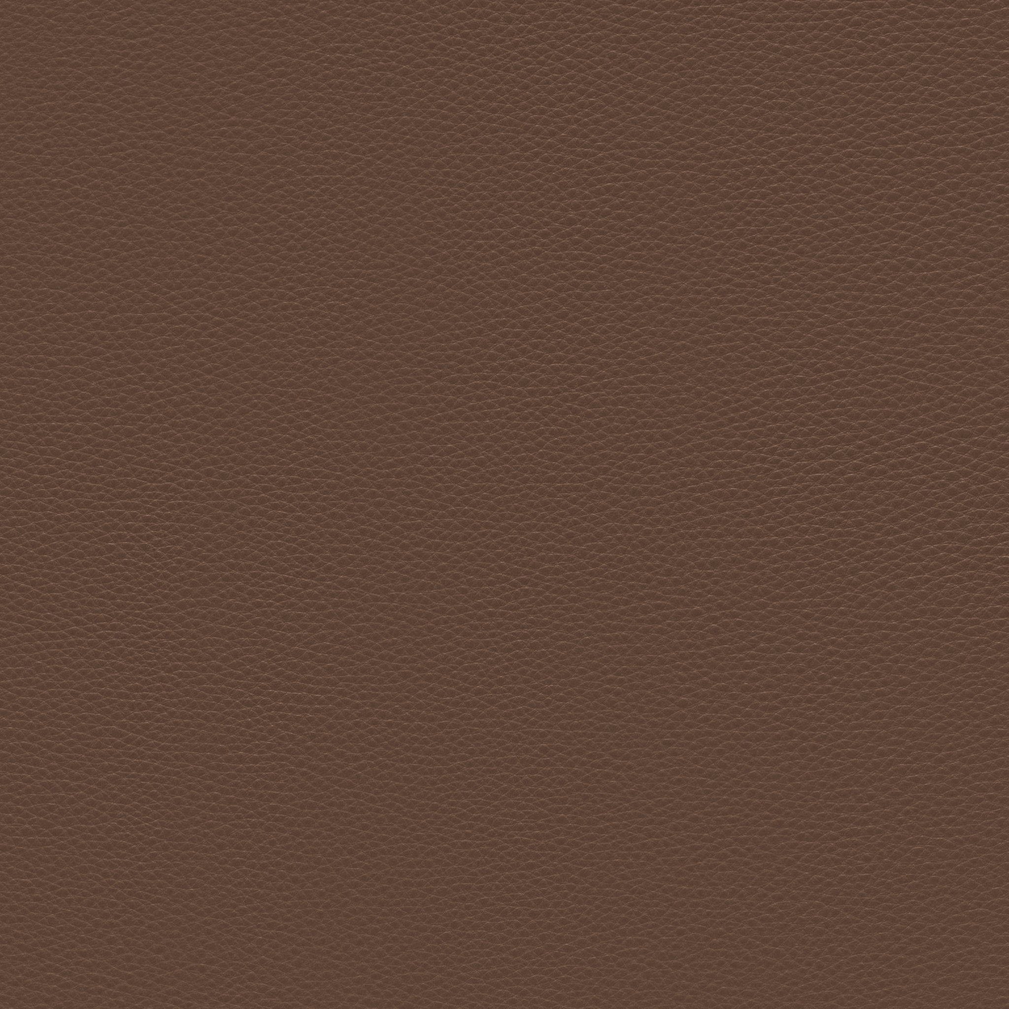 Sample Passion Safari Sample Passion Safari Bruunmunch Furniture