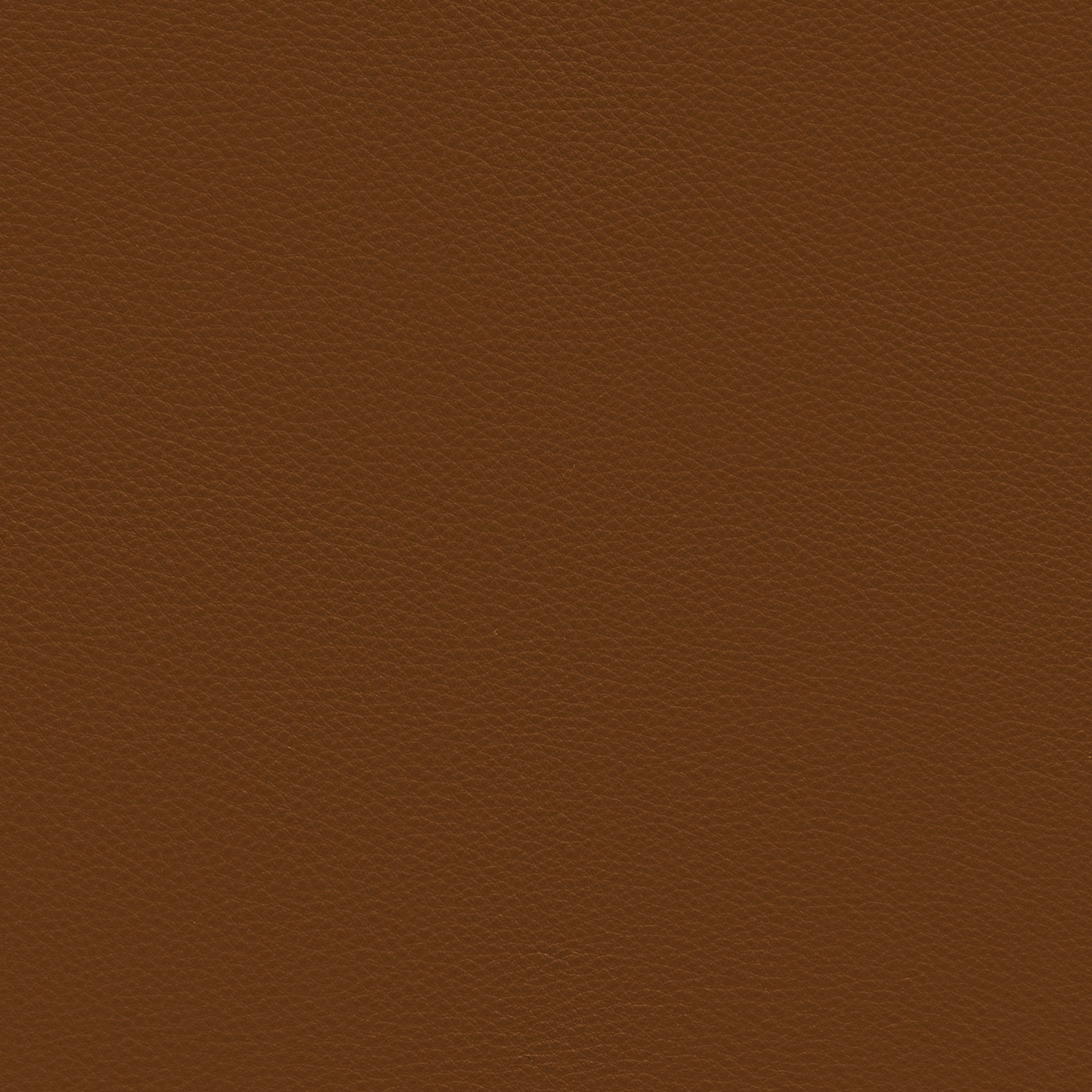 Sample Passion Walnut Sample Passion Walnut Bruunmunch Furniture