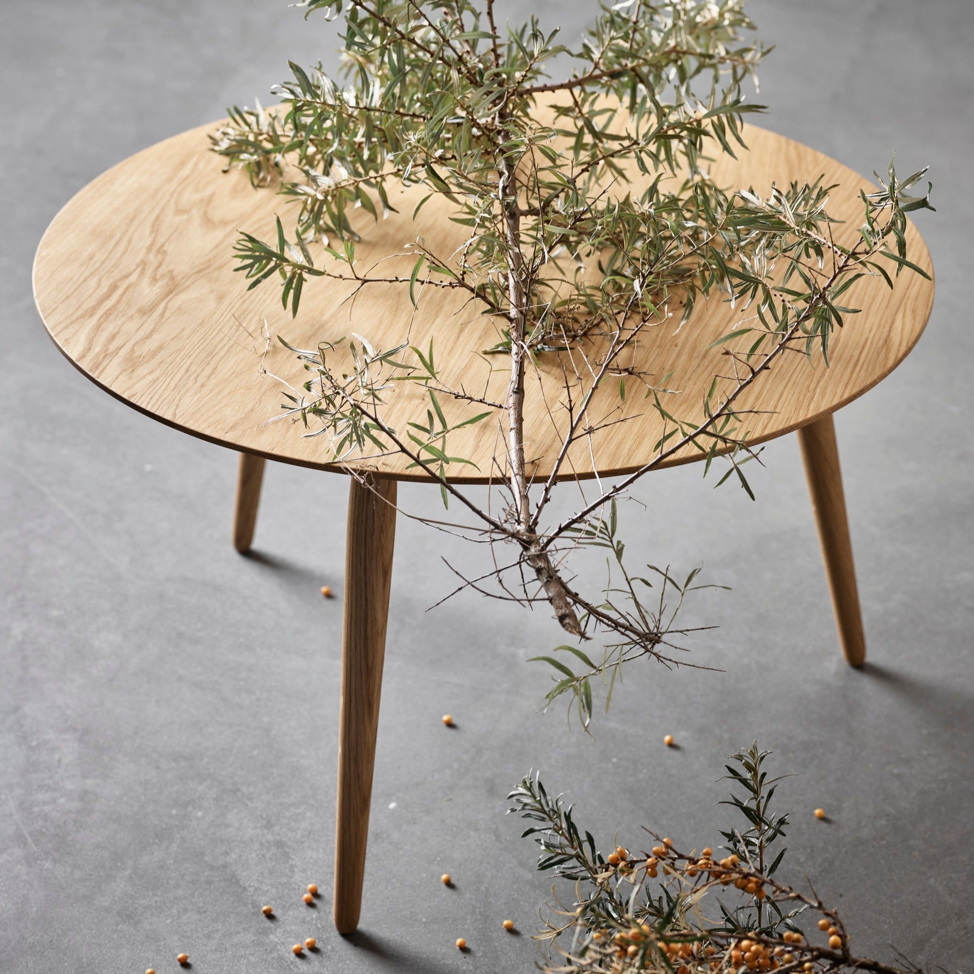 PLAYround Ø75 PLAYround Ø75 Bruunmunch Furniture