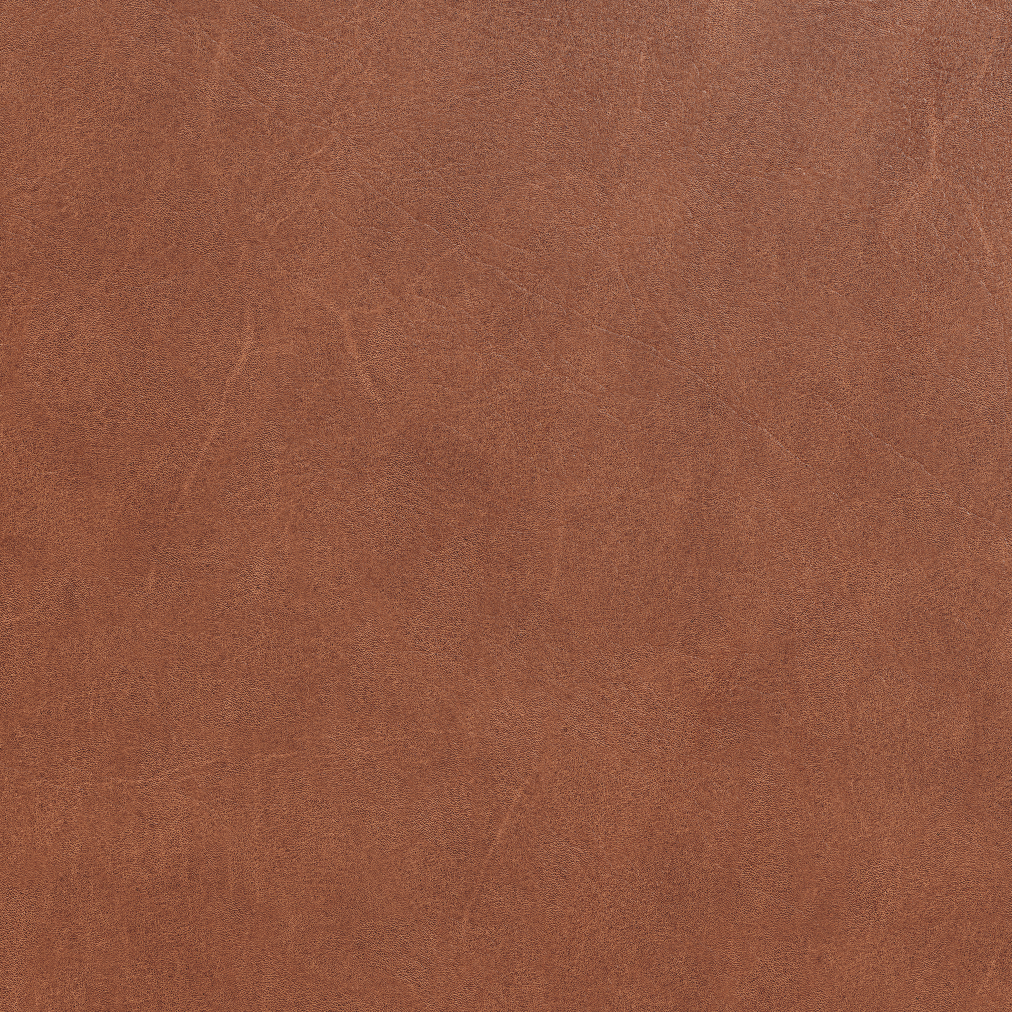 Sample Davos Brown