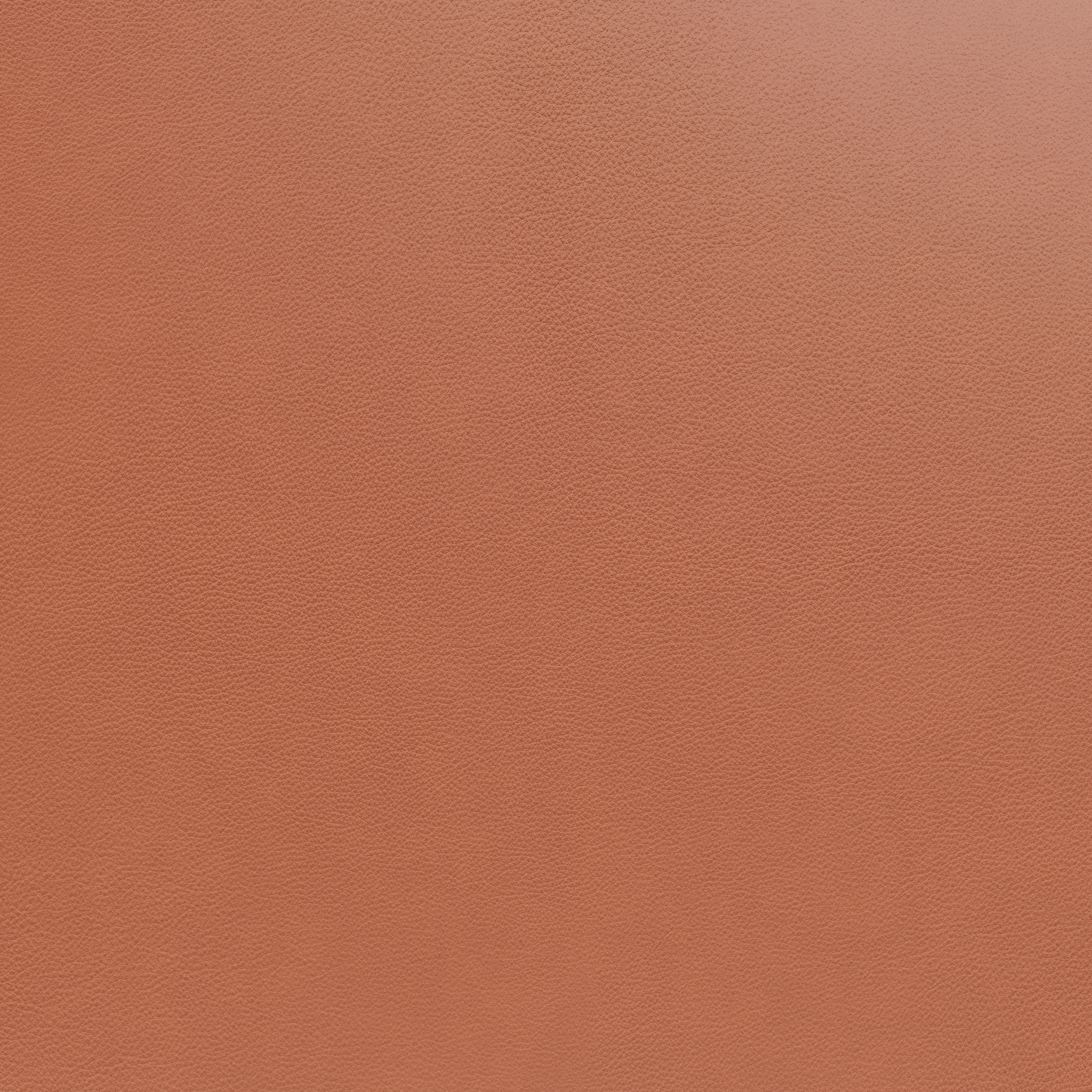 Sample Semi-Aniline Leather Cognac - Bruunmunch Furniture